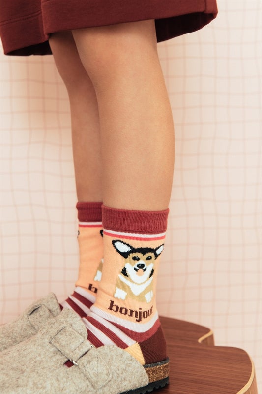 Hebe - Socks Pink Stripes And Dog