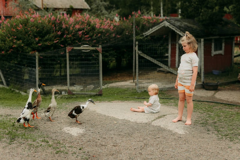 METSOLA - TINY FARMERS RIB T-SHIRT/MILKY PEAR