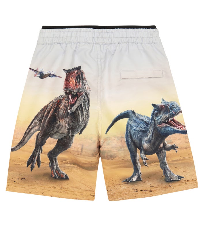 Molo Kids - Swim Shorts Neal Dino Scenery