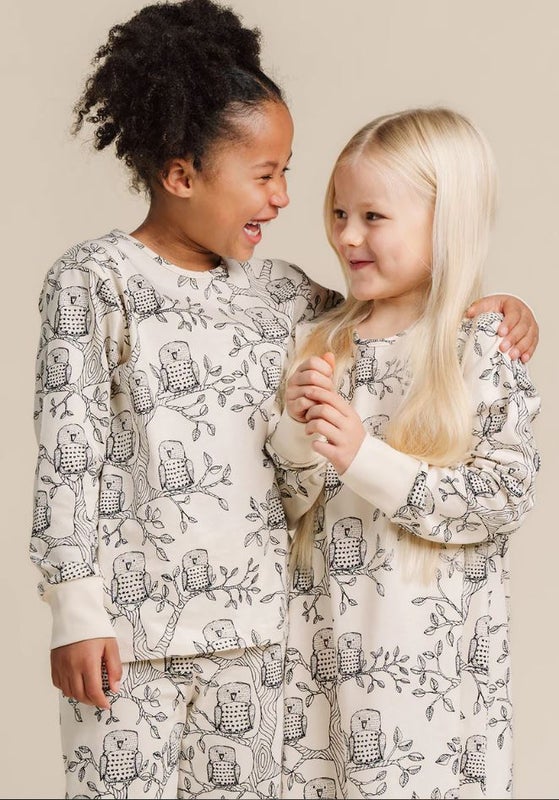 Aarre - Shane Y&ouml;paita, Owls